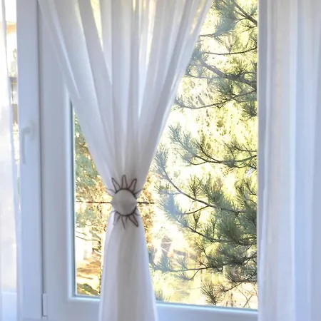 Apartment Lucijano *